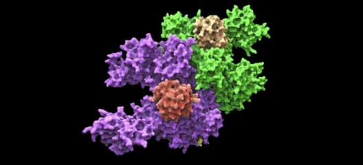 High- to Medium-Throughput Peptide Screening
