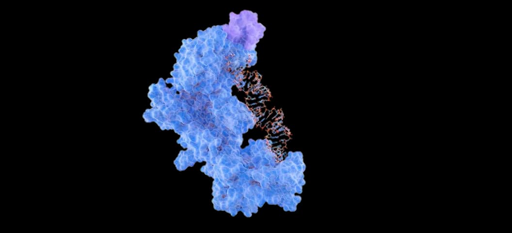 Nucleic Acid Binder Design